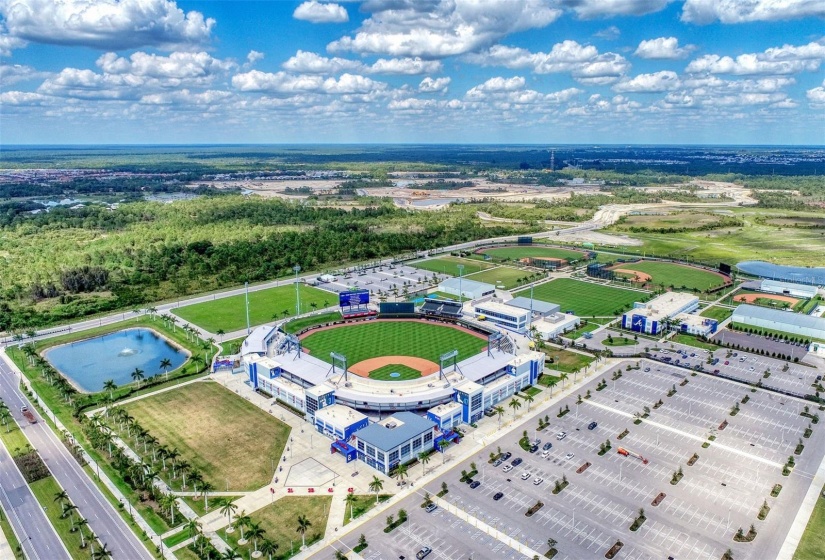 Braves Stadium