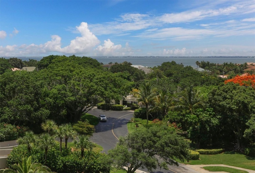 Looking east towards the Bay