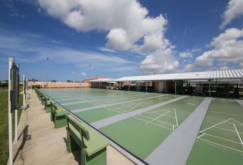 Shuffleboard Court