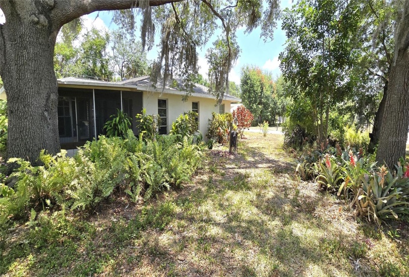 Rear view of home