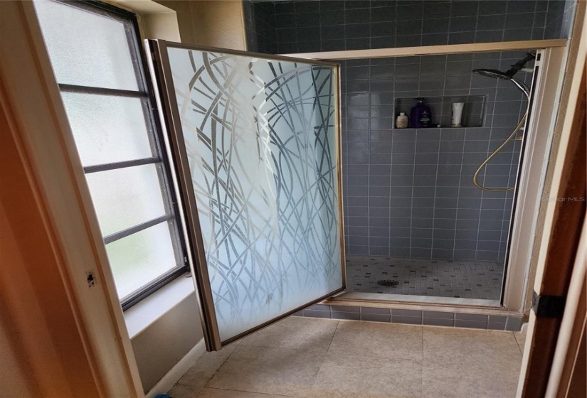 Master bathroom shower area