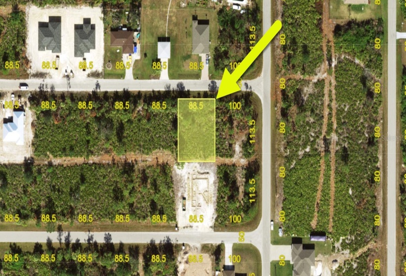 County plot view of lot