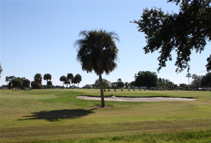 Pebble Beach Golf Course in Rotonda West