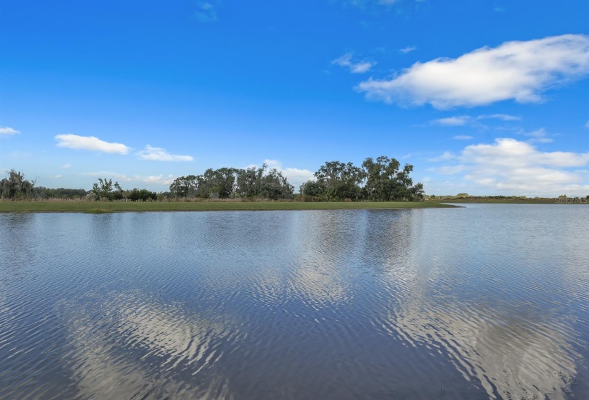 Lake and preserve view at Monterey at Lakewood Ranch