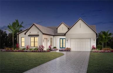 Artist's rendition of Caladesi Modern Ranch