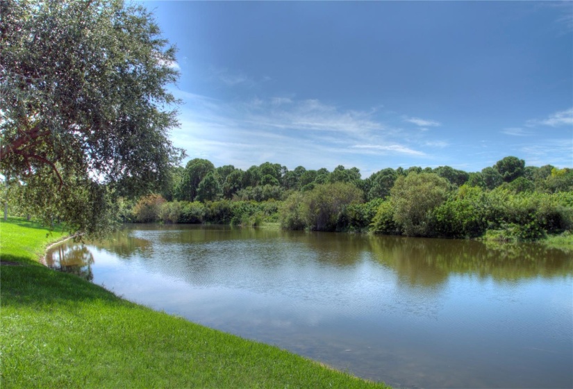 Community lake