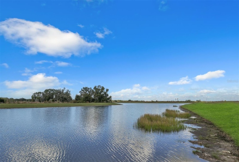 Water and preserve views at Monterey at Lakewood Ranch