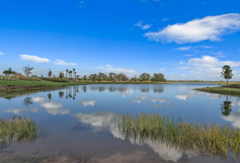 Water and preserve views at Monterey at Lakewood Ranch