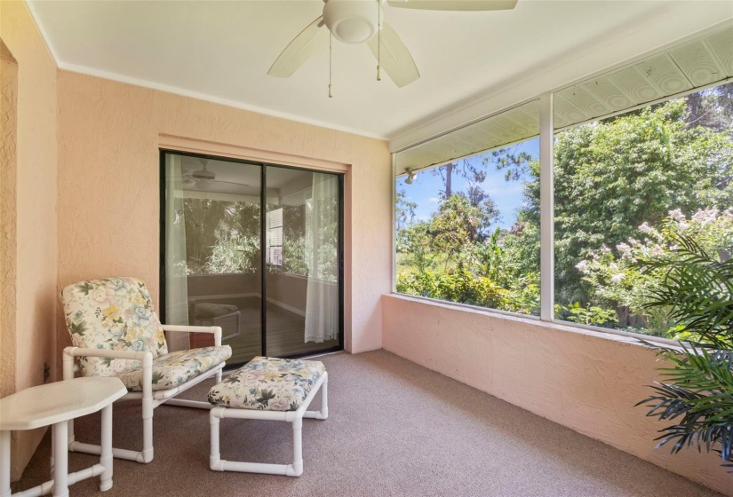 Master Screened Porch