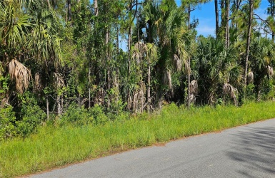 Lummus street. The majority of the trees are on the road frontage.