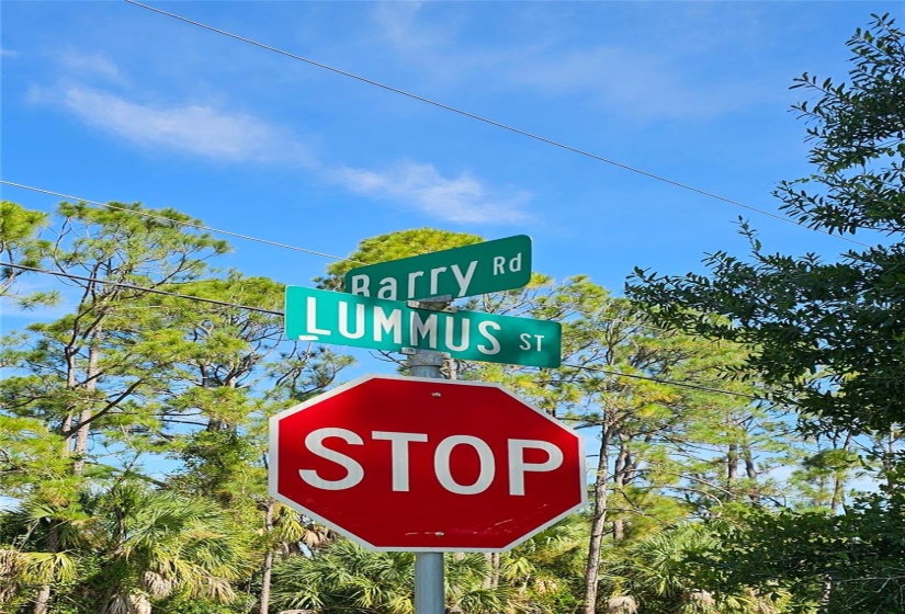 Close to corners of Barry Rd. and Lummus St. (On Lummus St.)