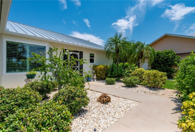 Mature landscaping including Date Palm and Hibiscus Tree with white flowers