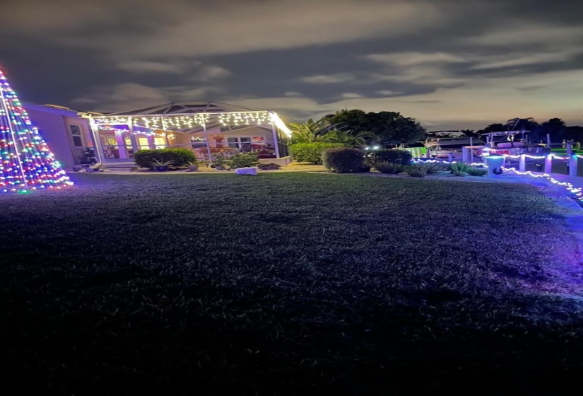 Christmas Lights along the seawall