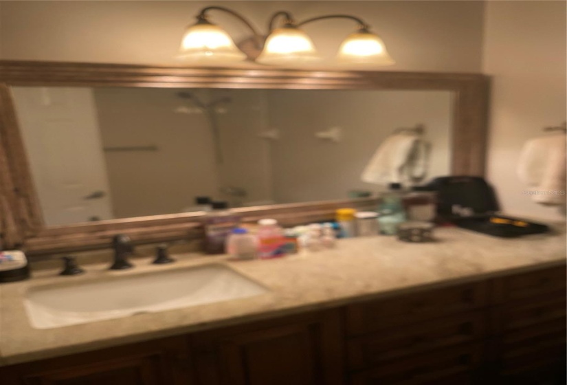 Main Bathroom  with Double Vanity, Granite Counter, Tasteful Update