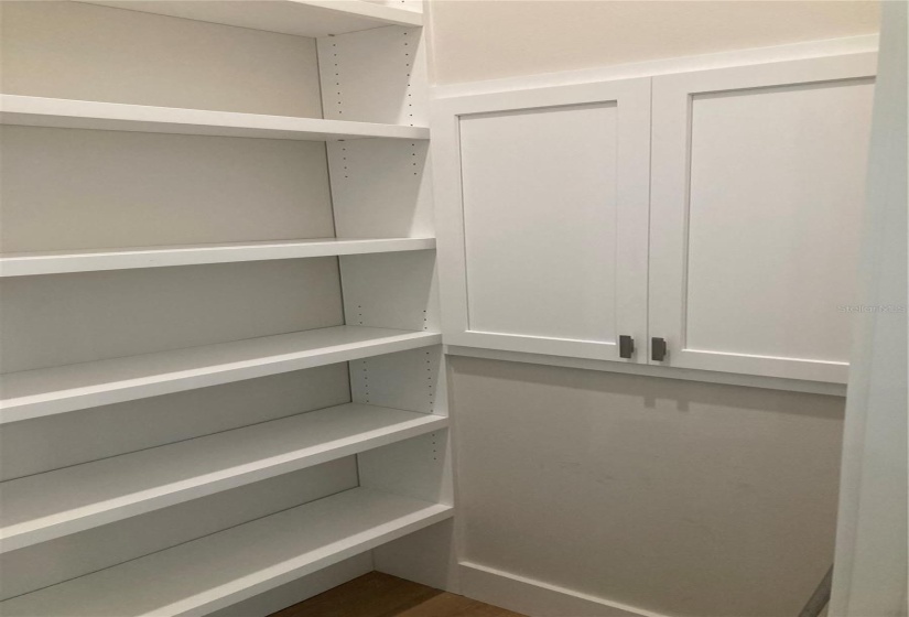 Pantry and Dumbwaiter