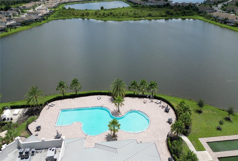 Resort Style Pool