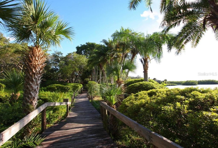 Walking trails throughout Pelican Cove