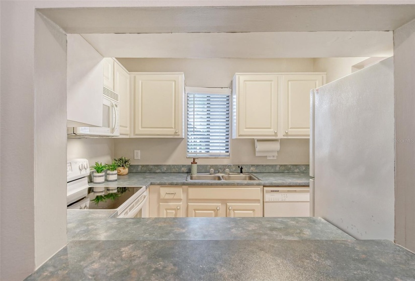 View to the kitchen through the pass through.