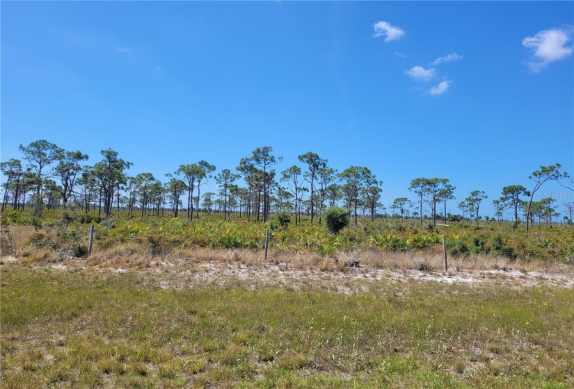 Charlotte Harbor Preserve off of Rotonda Trace Blvd