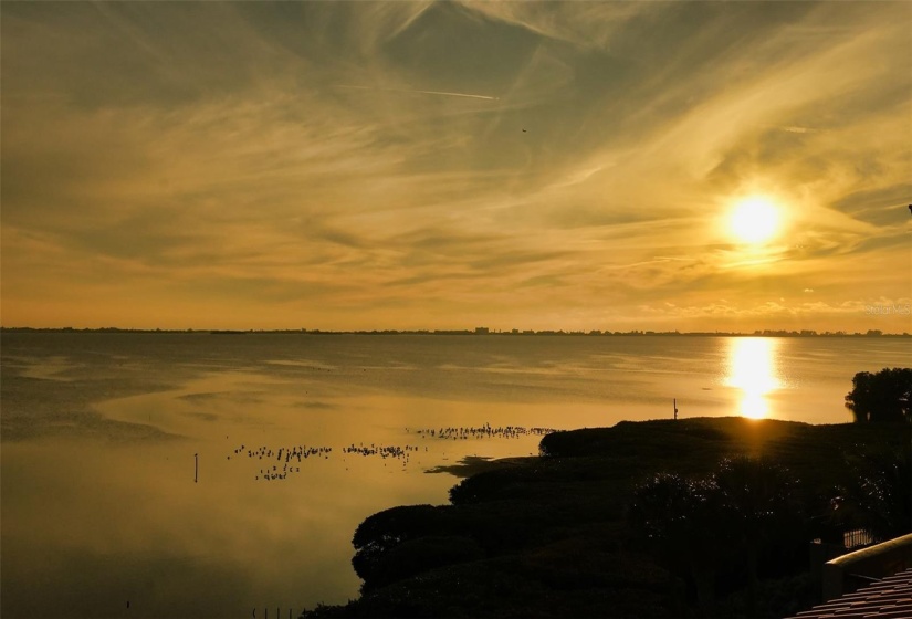 Enjoy seasonal sunsets over Sarasota Bay