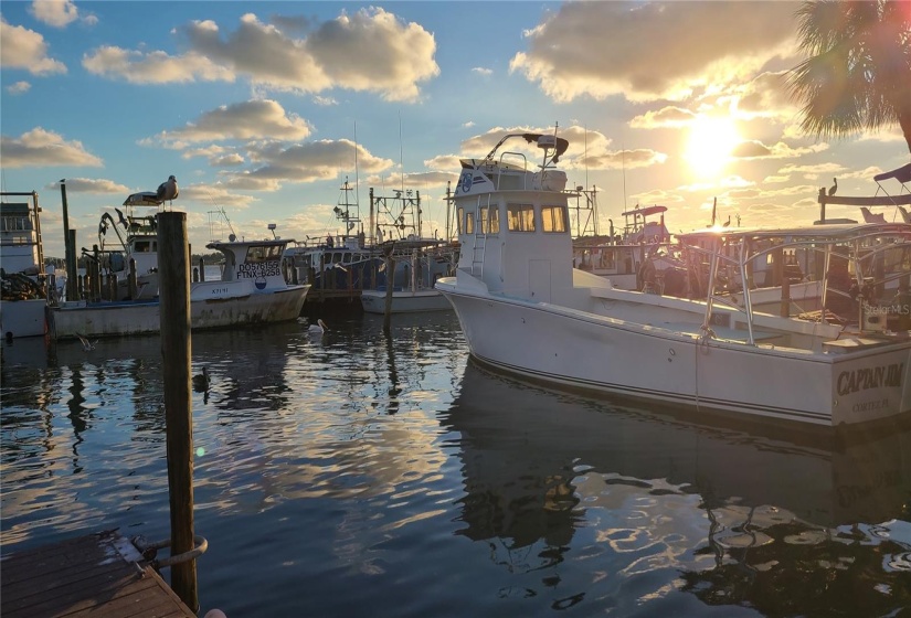 Cortez fishing village