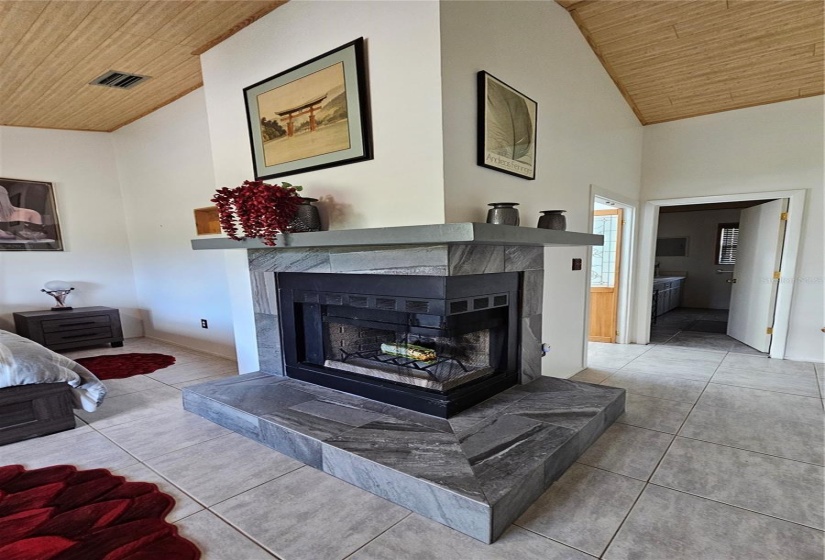 Fireplace in master suite