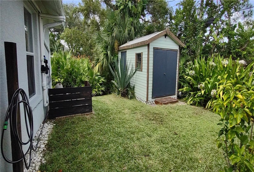 Back yard huge shed