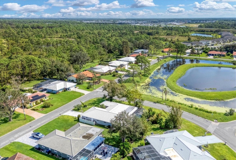 Community lake aerial