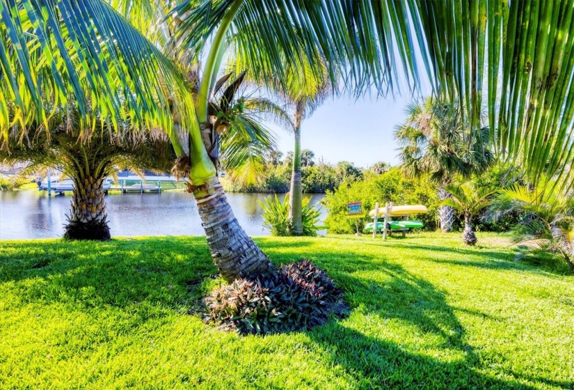 Double Waterfront Lot with Various Palms