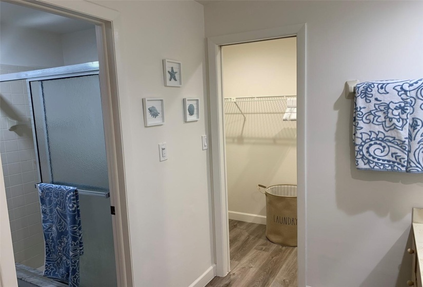 Master Bath Walk In Shower and Walk In Closet