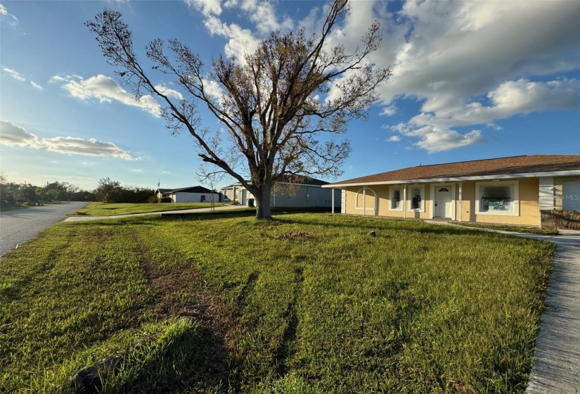 front yard