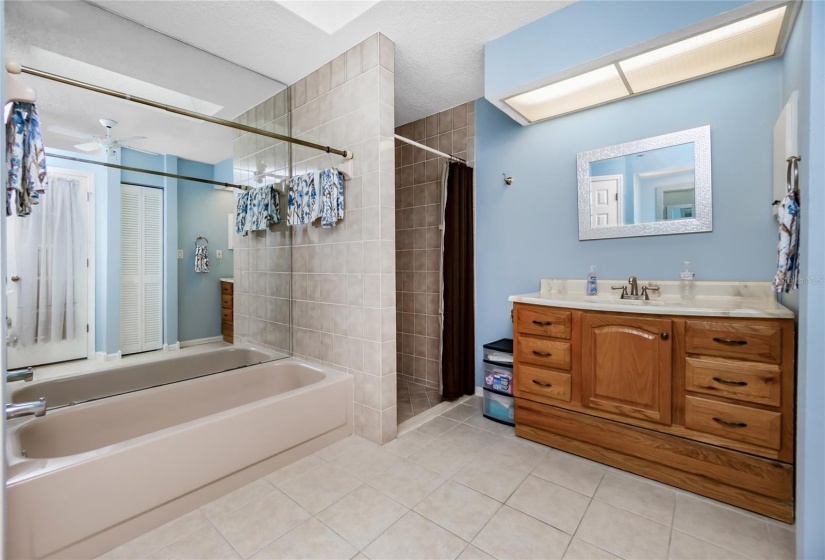 Master bathroom with a new skylight for additional natural light.