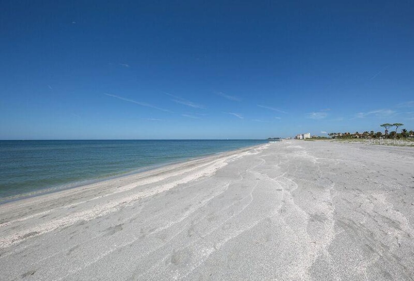 GULF OF MEXICO BEACH