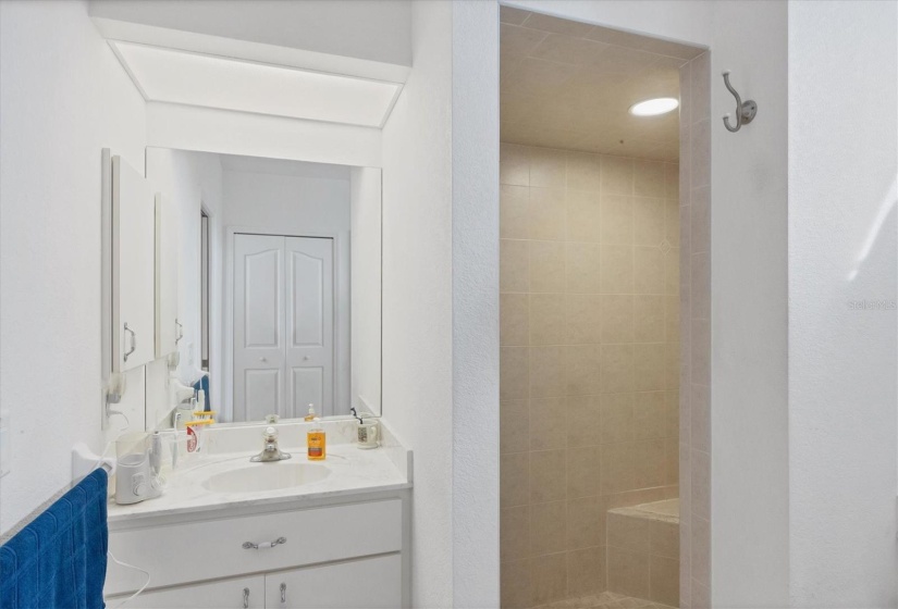 VANITY SINK AND ROMAN SHOWER ENTRANCE