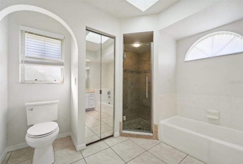 Master bathroom shower & tub view