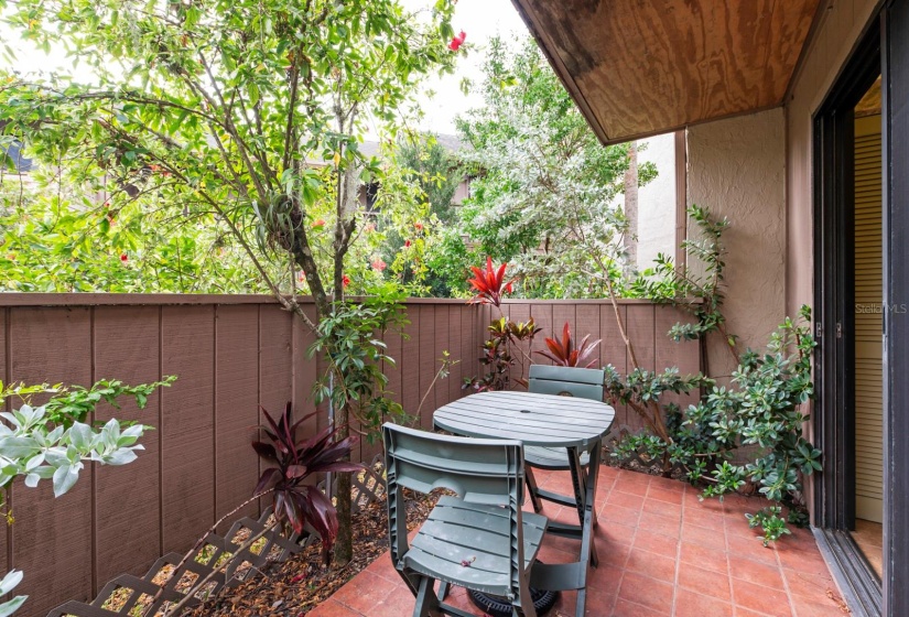 Front courtyard off kitchen