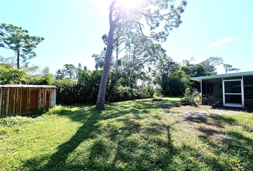 Back yard w/shed