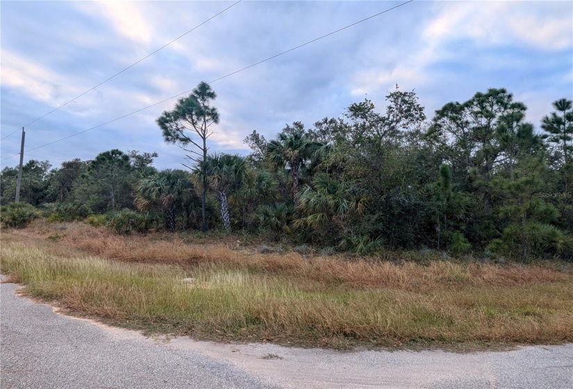 Corner of Mattox and Hammock