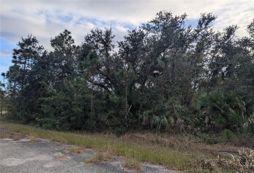 Right side view on Hammock Ln