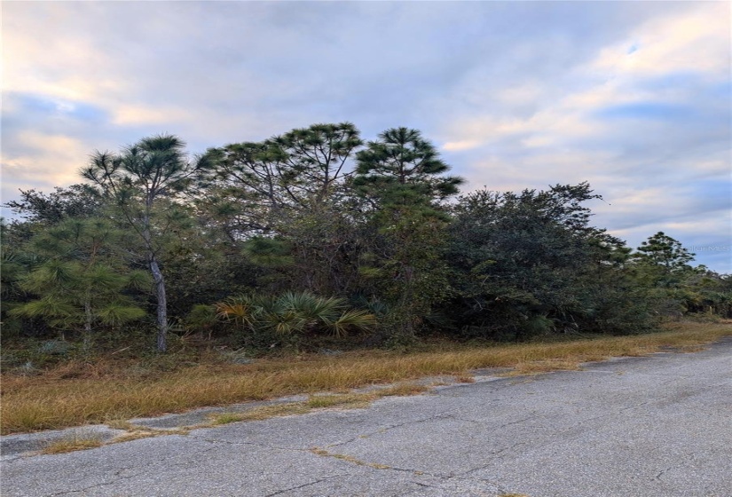 Side view on Hammock Ln