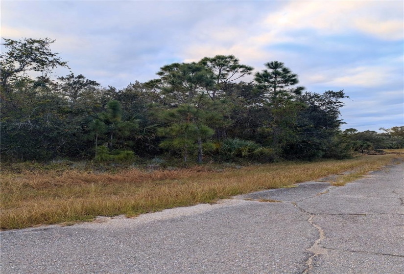 View of lot on Hammock Ln