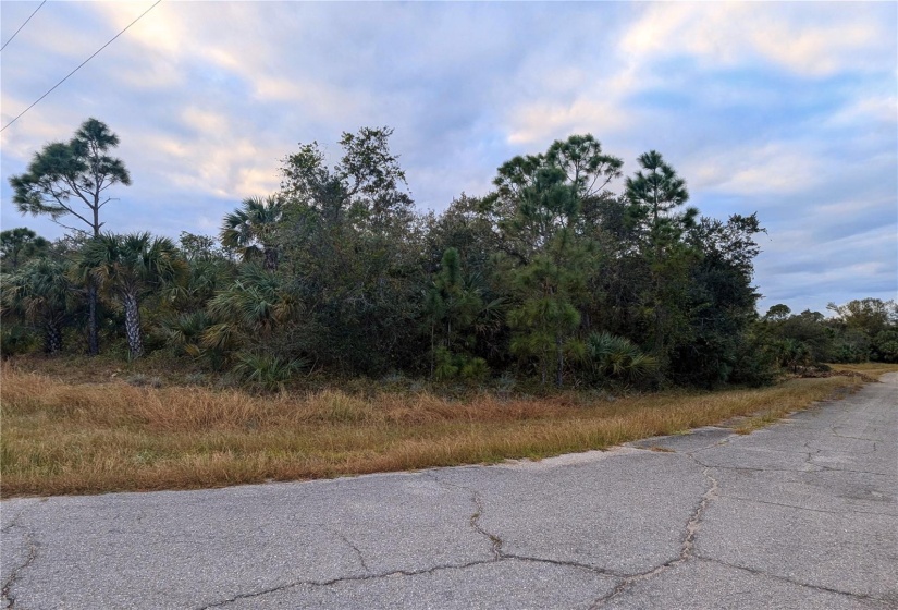 Front right view from corner of Mattox Cir and Hammock Ln