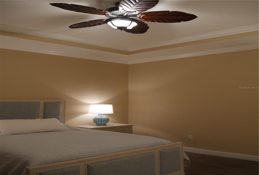 Tray ceiling and another beautiful Teak fan!