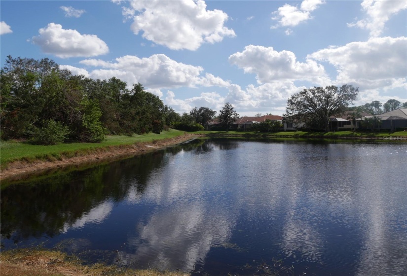 This is the view from your new home!  SO tranquil!