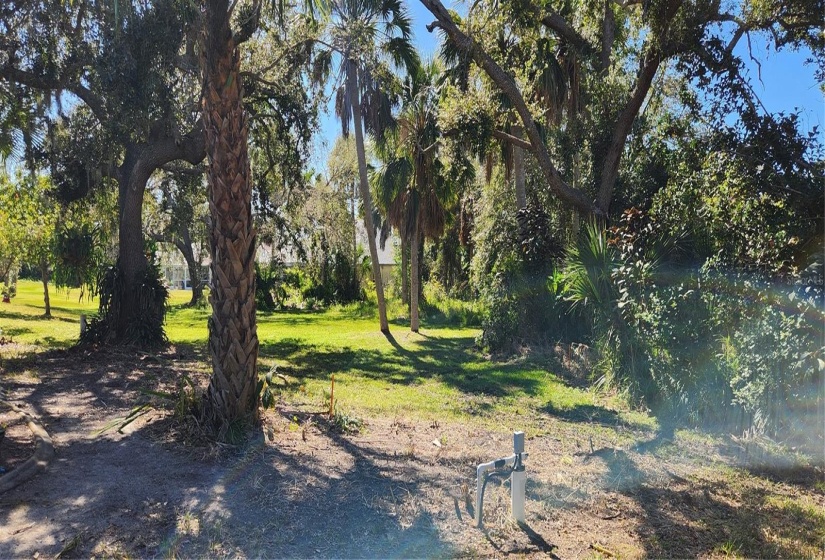 Another view from the back of the property showcasing the park-like setting of this vacant lot and the space it encompasses