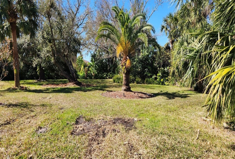 Tropical landscape throughout this property makes for a beautiful view and privacy.  This view is from Santarem circle side entrance