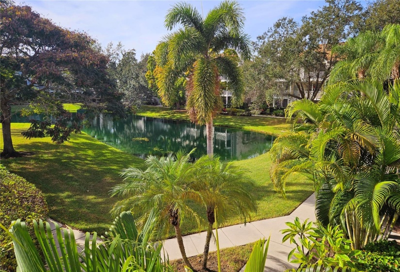 Wideshot of courtyard.