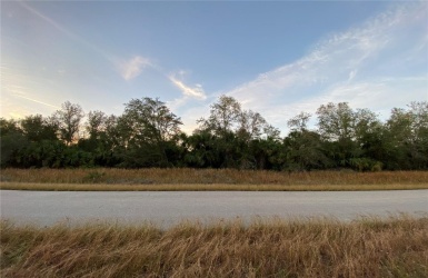 From across the street, looking N directly at Lot on Whaling Rd.