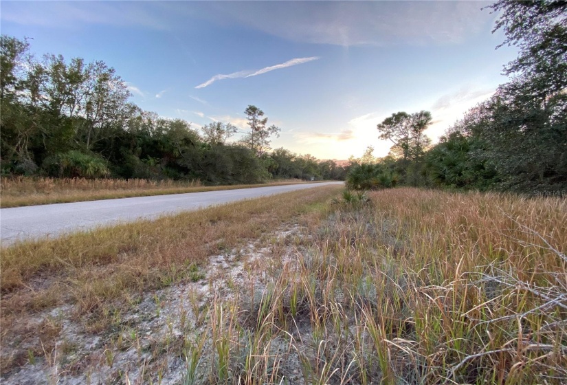 From Lot, looking (SW) down Whaling Rd.