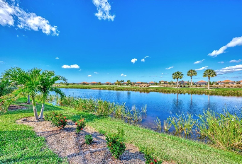 The lanai is stunning, outdoor kitchen, pool, spa, overlooking water and golf.